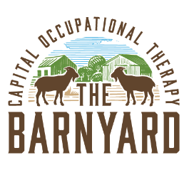 Screenshot 2026-02-24 at 4.34.49 PM